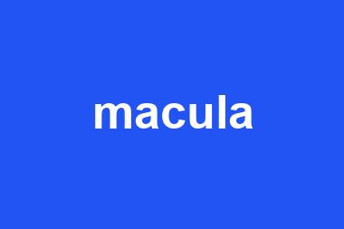 macula