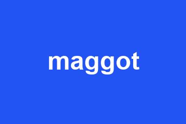 maggot