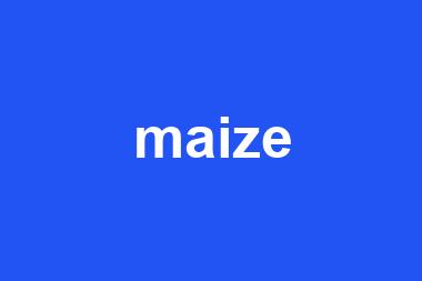 maize