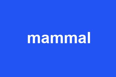 mammal