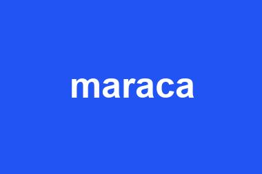 maraca