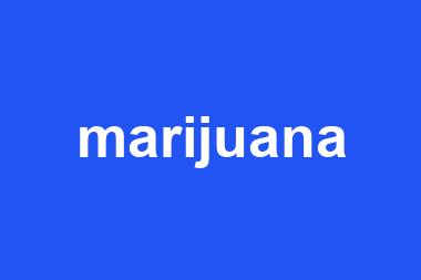 marijuana