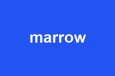 marrow