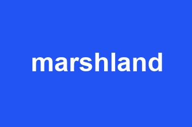 marshland