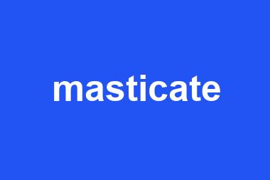 masticate