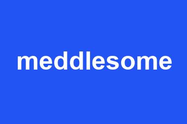 meddlesome