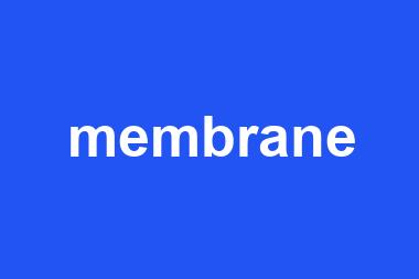 membrane