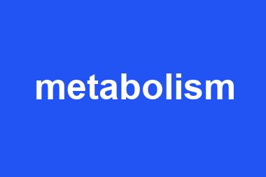 metabolism