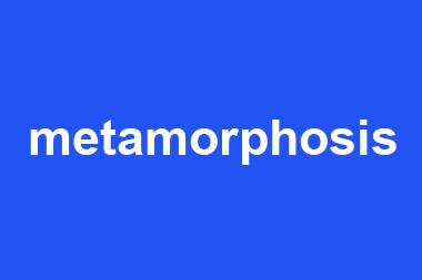 metamorphosis