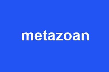 metazoan