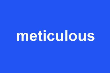 meticulous