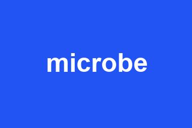 microbe