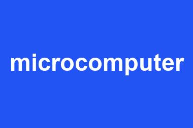 microcomputer