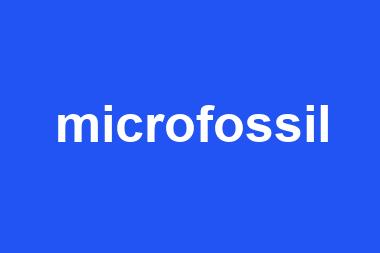 microfossil