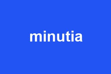 minutia