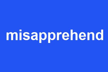 misapprehend