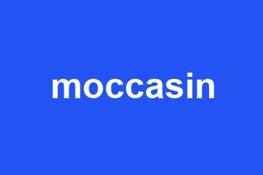 moccasin