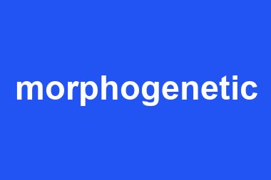 morphogenetic