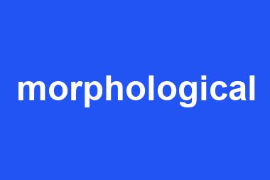 morphological