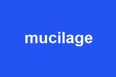 mucilage