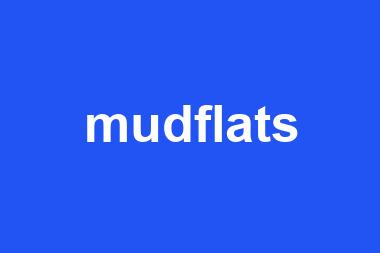 mudflats