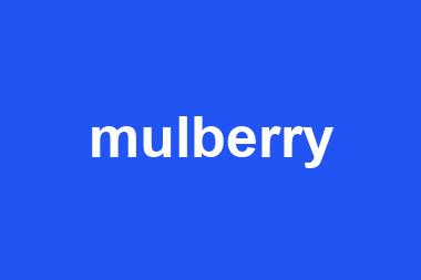 mulberry