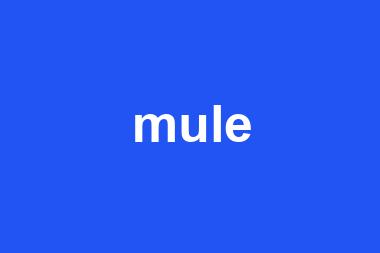 mule