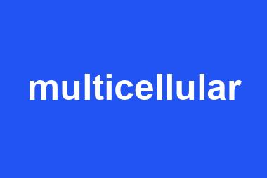 multicellular