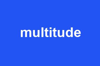 multitude