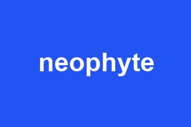 neophyte