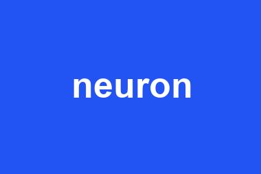 neuron