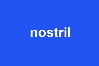 nostril