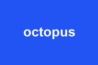 octopus