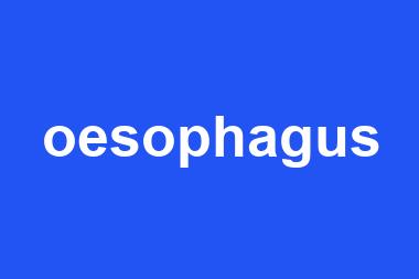 oesophagus