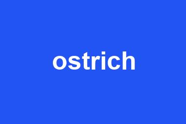 ostrich