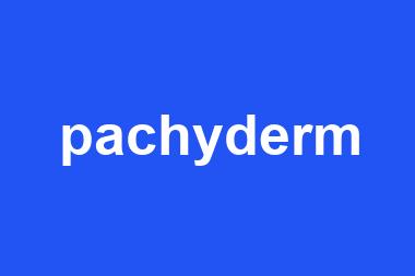 pachyderm