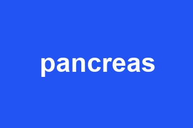 pancreas