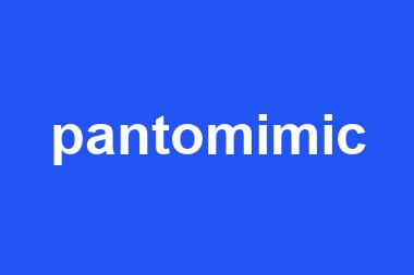 pantomimic