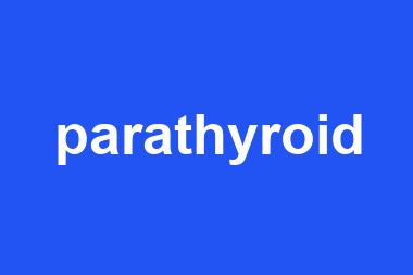 parathyroid