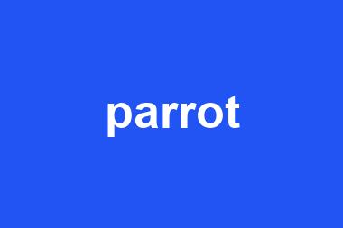 parrot