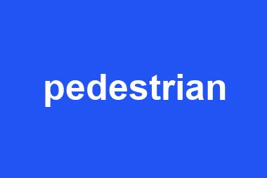 pedestrian