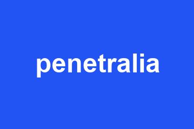 penetralia