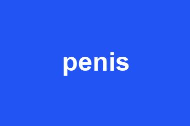 penis