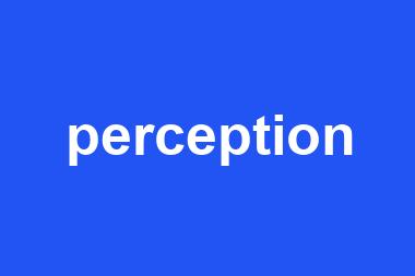 perception