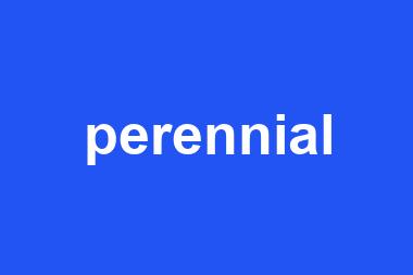 perennial