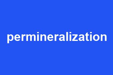 permineralization