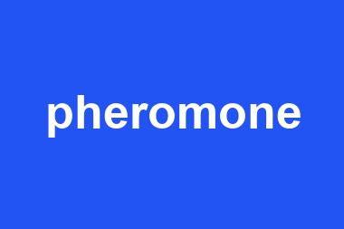 pheromone