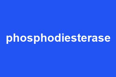 phosphodiesterase