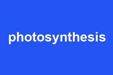 photosynthesis