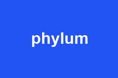 phylum